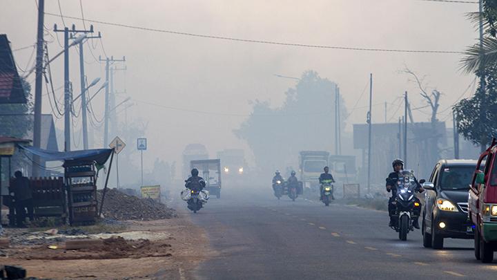 BMKG: Pontianak, Banjarmasin Covered in Smoke due to Land, Forest Fires